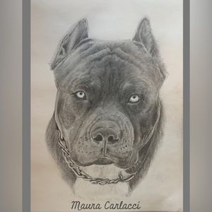 Graphite Sketch 9x12 on Strathmore Paper